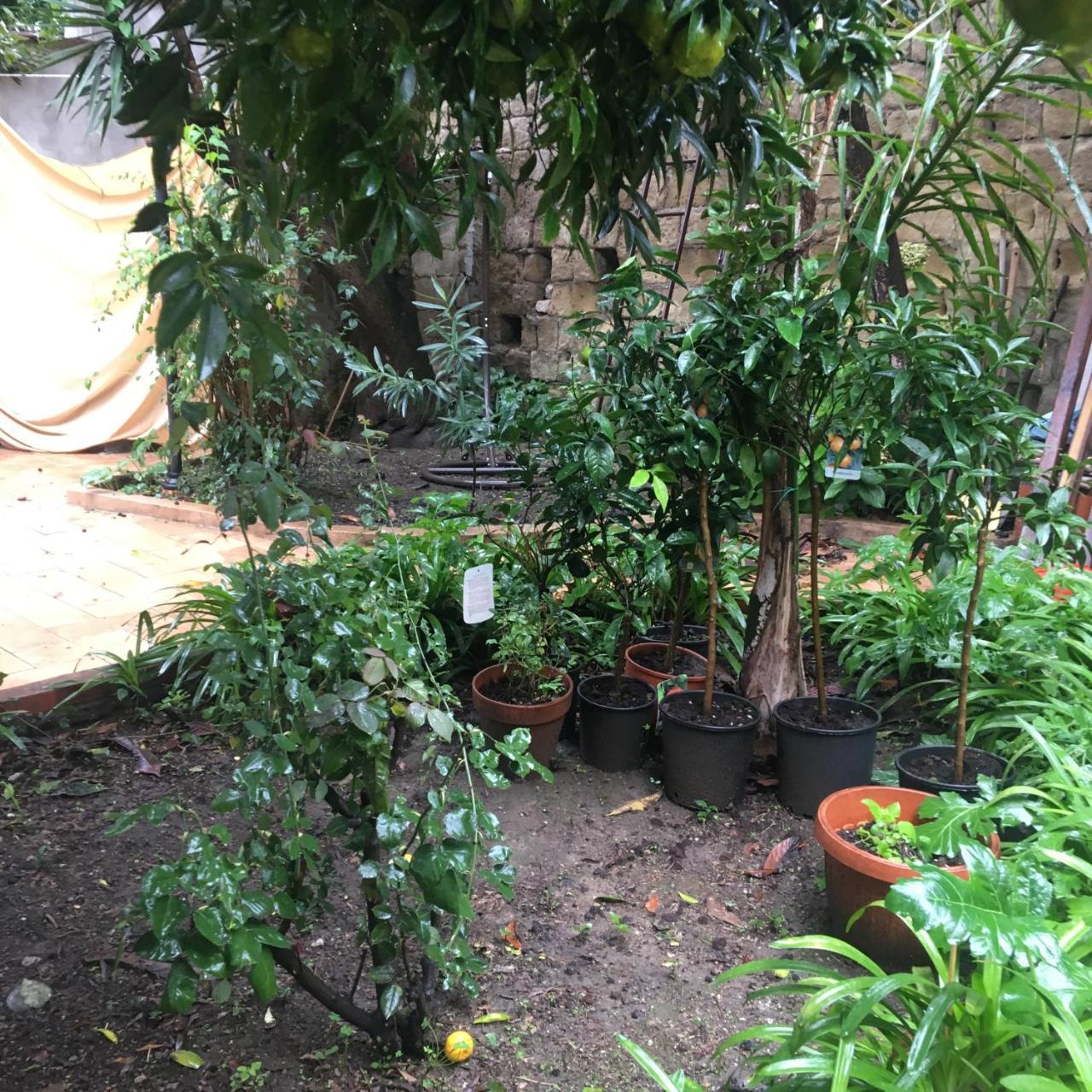 Bed and Breakfast Il Giardino Di Daphne à Naples Extérieur photo